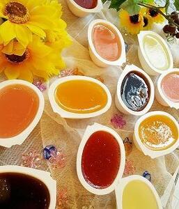  人気番組で話題になった「こだわり手作りぜりー」 | ゼリー ゼリー