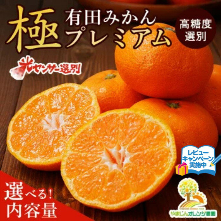 【ふるさと納税】＼光センサー選別／極 有田みかんプレミアム 選べる内容量【光センサー 高糖度選別品】2S～Mの小玉サイズ 有機質肥料100%◆ | 光センサー選別 温州みかん みかん 高糖度 ※2025年11月下旬～2026年1月上旬頃に順次発送予定 ※北海道・沖縄・離島への配送不可
