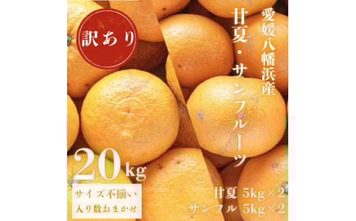 甘夏&サンフルーツ各10kg＜訳あり＞＜F20-85＞【1625136】