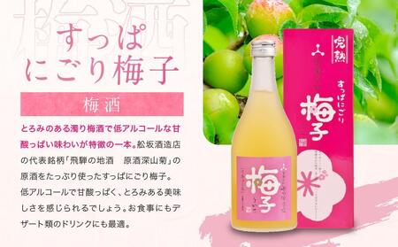 【通常配送】ゆず兵衛 梅子 ぶど次郎 果実酒 リキュール500ml 3本セット ｜ 年内配送が選べる 年内発送 低アルコール ほろよい  飲み比べ 日本酒 飛騨 柚子酒 梅酒 ぶどう酒 舩坂酒造  F