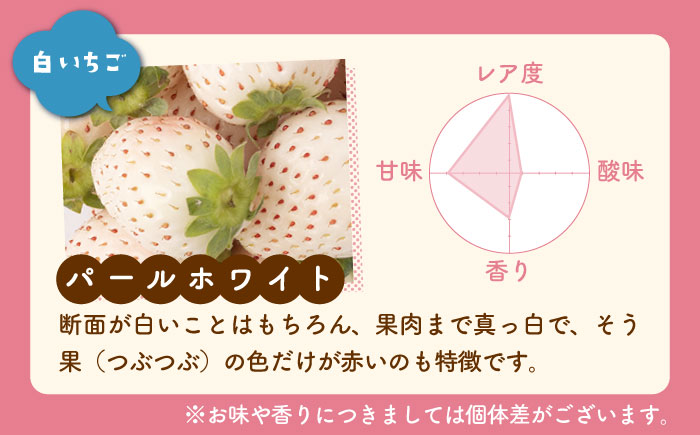 【先行予約】いちご食べ比べ！「さがほのか」と「パールホワイト」220g×各2パック 計4パック 【ハヤシダファーム】/イチゴ 苺 ストロベリー 紅白 [IAQ017]