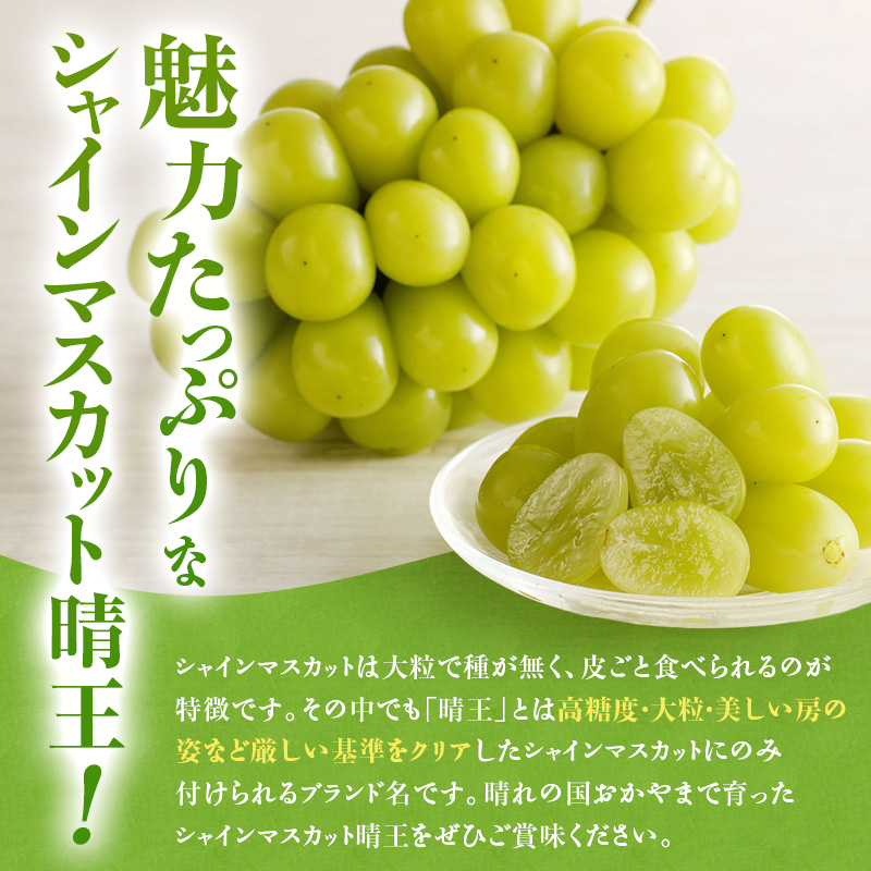 【2026年先行受付】 シャインマスカット 晴王 秀品 約600g 1房 岡山県産 ぶどう 葡萄 ブドウ 御中元 ギフト 御礼 プレゼント 御礼 御祝 御供 果物 くだもの フルーツ