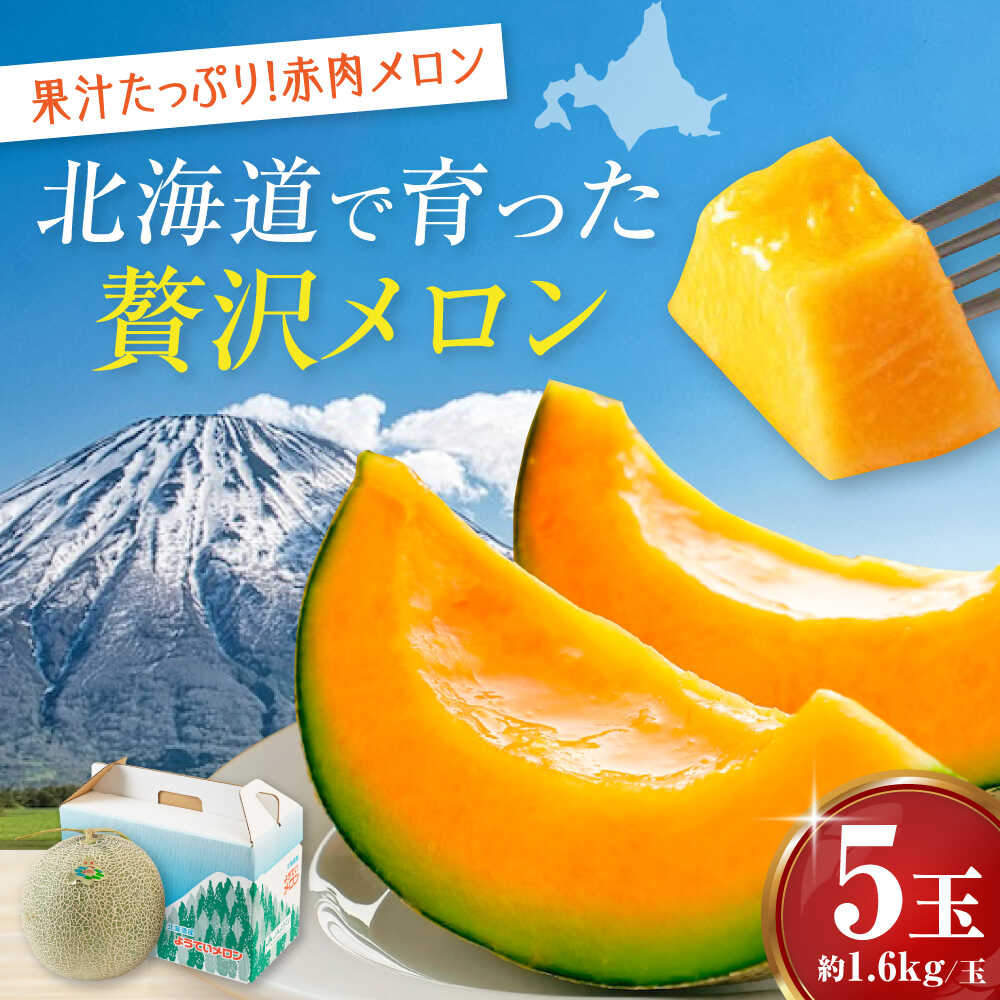 【ふるさと納税】先行予約 数量限定 赤肉メロン 約1.6kg×5玉 《喜茂別町》【Aコープようてい】 先行予約 数量限定 メロン 赤肉 フルーツ 果物 贈答用 北海道 北海道産 産地直送 [AJAK005] 27000 27000円