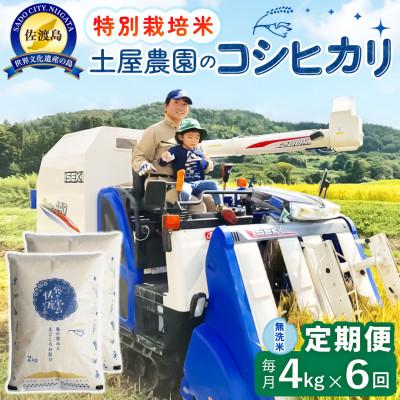 ふるさと納税 佐渡市 【毎月定期便】佐渡島産コシヒカリ 無洗米4kg 土屋農園 農家直送 特別栽培米　全6回