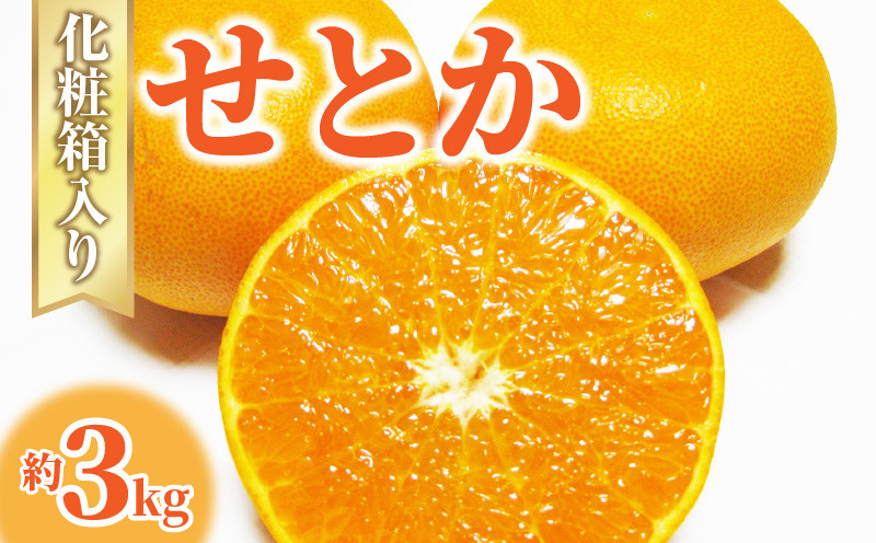 
                  とろける食感 「せとか」 約3kg化粧箱入り
                