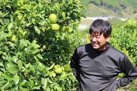彩り柑橘園の土佐文旦贈答用5kg
