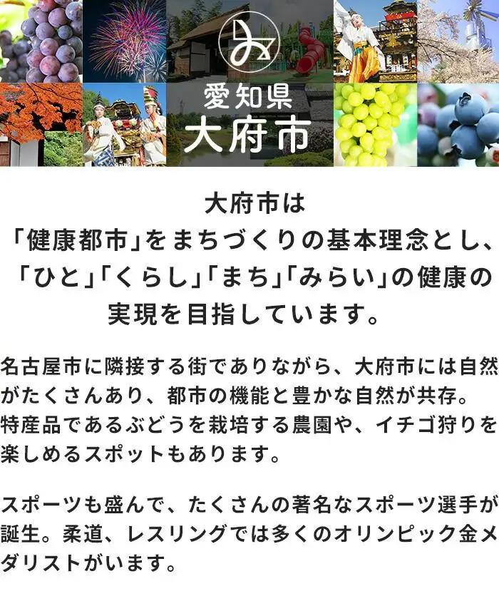 エアウィーヴ 車いす クッション エアウィーヴ