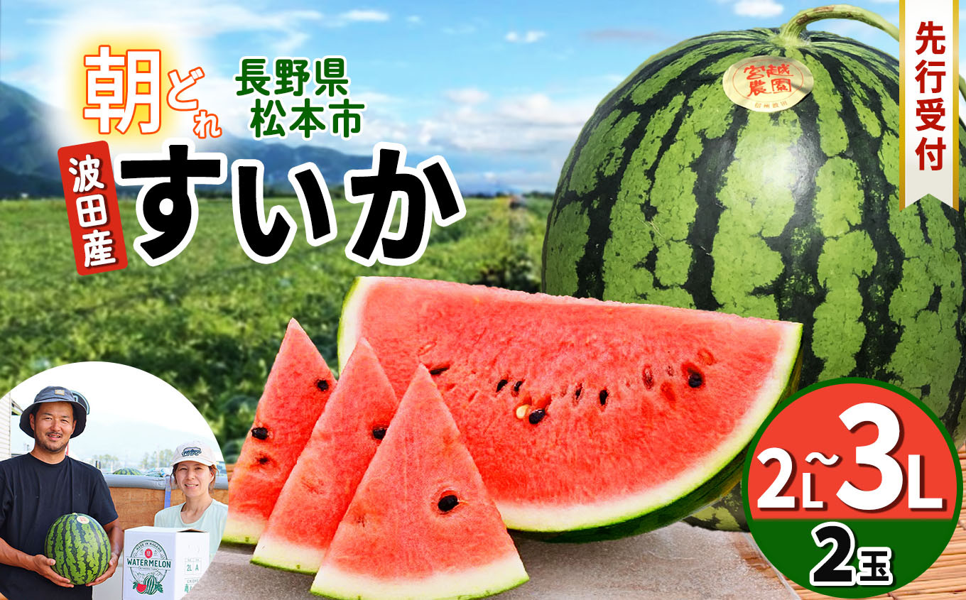 
            【先行受付】松本市　波田産　すいか　2玉入り（2L～３L,7kg～9kg)×２)│ 信州 松本市 長野県 西瓜 すいか 果物 スイカ フルーツ くだもの フルーツ ふるーつ
          