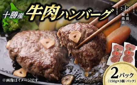 牛肉ハンバーグ 900g ハンバーグ [BNAM031]