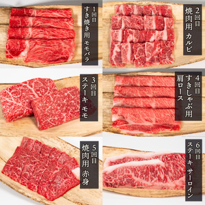 近江牛 定期便 12回 12ヶ月 （ 定期便 1年 ステーキ 焼肉 焼き肉 定期便 カルビ肉 定期便 肉 モモ肉 定期便 バラ肉 定期便 肩ロース肉 定期便 赤身肉 定期便 サーロイン肉 定期便 リブ