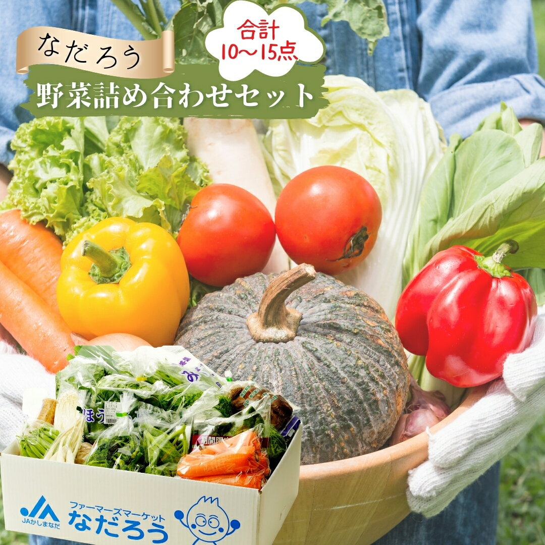 【ふるさと納税】＼選べる発送月／ 2025年3～7月・10～12月 直売所・JAほこた なだろう「鉾田市産野菜の詰合わせセット」（10～15品×1箱）