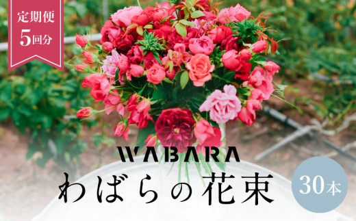 わばら花束30本定期便　５回分　 WABARA  摘みたて ブーケ 花束 Rose Universe AT-0020
