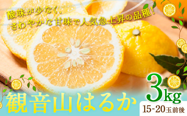 
                  【先行予約】観音山はるか 3kg (約15玉-21玉前後) 有限会社柑香園《2027年2月上旬-2月末頃出荷》和歌山県 紀の川市 フルーツ 果物 柑橘 はるか
                