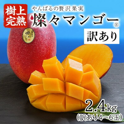 【ふるさと納税】【2025年発送・訳あり】燦々マンゴー2.4kg(4～6玉)【配送不可地域：離島】【1619692】