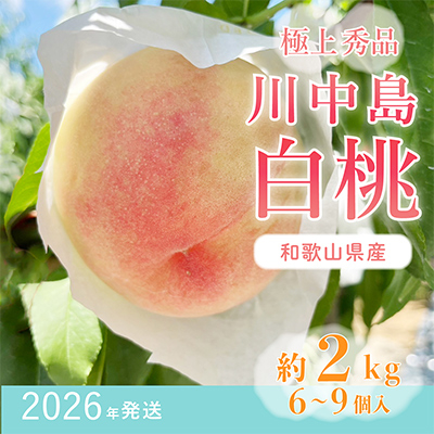 先行受付!　桃【川中島白桃】　(大玉特秀品)　約2kg　6～9個入　こだわり農家厳選!【配送不可地域：離島】【1525328】