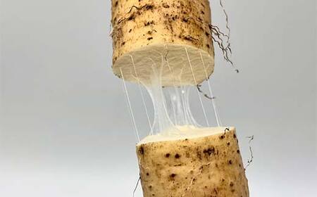 自然からのやさしい贈り物 天栄自然薯3本 贈答用にも 山芋 芋 イモ 根菜 福島県 天栄村 F21T-463