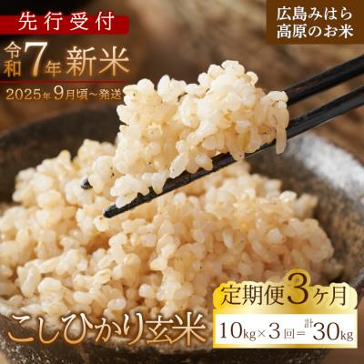 ふるさと納税 三原市 【先行受付】■3か月定期便■ 令和7年新米 コシヒカリ玄米10kg [220-011]