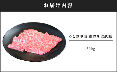 2109-1 うしの中山 霜降り 焼肉用 500g KN050-037 国産 和牛 黒毛和牛 牛肉 うす切り しゃぶしゃぶ すき焼き nixy 中山亭 鹿屋店 ふるさと納税 鹿児島 鹿屋市 おすすめ 