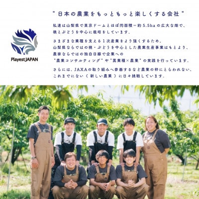2026年先行受付　山梨県産 桃 白桃系 2kg以上(5～8玉) フルーツ王国・山梨から産地直送【配送不可地域：離島・沖縄県】