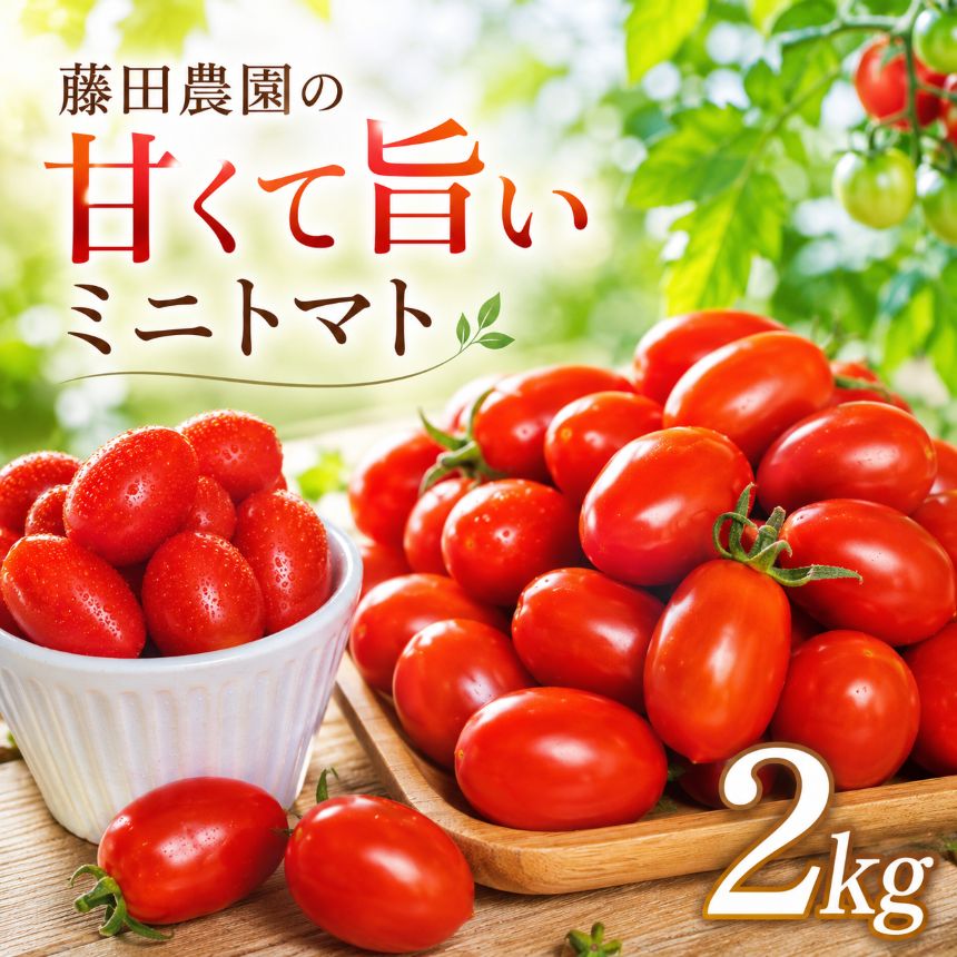 【ふるさと納税】藤田農園 の 甘旨 ミニトマト 2kg | ミニトマト トマト とまと フルーツトマト 完熟 リコピントマトジュース 新鮮野菜 やさい サラダ 産地直送 甘い ビタミン ダイエット 美容 美肌 健康 食べやすい ギフト 北海道 新十津川 【新十津川町】