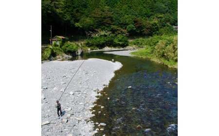 安田川 遊漁券（当日券） 高知県 馬路村 釣り 鮎