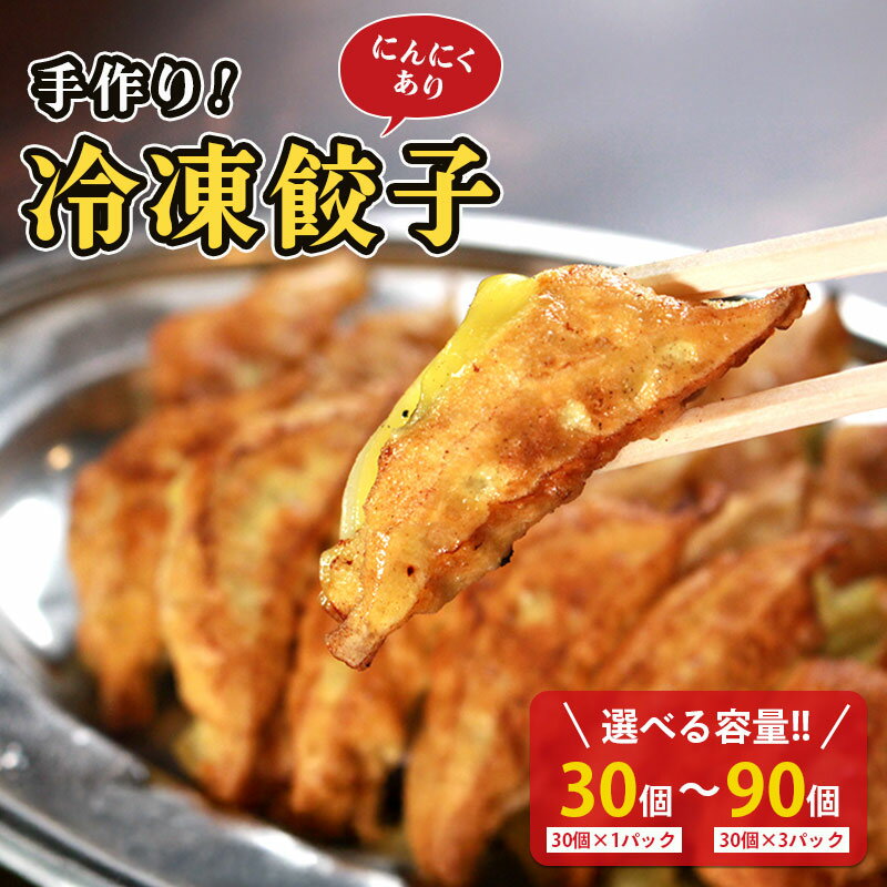 【ふるさと納税】 冷凍餃子 選べる容量 にんにくあり 30個×1p 2p 3p 餃子 セット ぎょうざ ギョウザ にんにく 青森 肉 お肉 豚肉 豚 鶏肉 鳥 おつまみ 加工品 肉汁 惣菜 お弁当 冷凍ストック 寺岡商店 香川県 丸亀市
