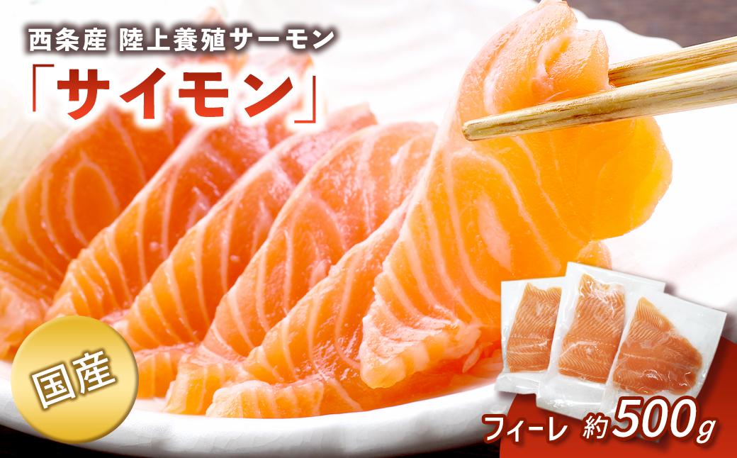 
            西条産 陸上養殖 サーモン 「サイモン」 冷凍フィーレ半身分 約500g 【2026年1月～4月発送】 ｜ 愛媛県西条市産 サーモン 魚 海鮮 刺身 鮭 サケ シャケ さけ 魚介類 小分けパック 国産 冷凍 【オンライン決済限定】
          