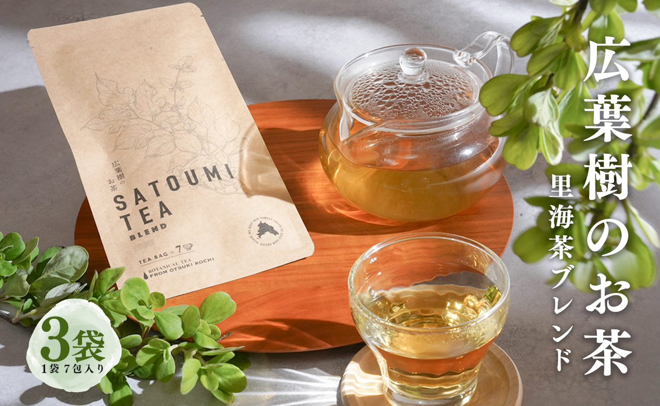 広葉樹のお茶 里海茶 ブレンド 3袋 21パック入り カフェインフリー ハマゴウティー お茶 ティー ティーパック 自然栽培 野草茶 ボタニカルティー 飲料 高知県 大月町