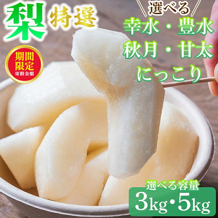 【ふるさと納税】＼12月末まで 寄附額改定／【先行予約】【選べる容量】梨 特選 3kg または 5kg 標準箱 幸水 豊水 秋月 甘太 にっこり｜ 栃木県産 果物 フルーツ 旬 産地直送 ※離島への配送不可