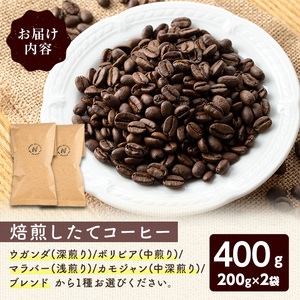 こだわり栽培のコーヒー豆(ブレンド)(計400g・200g×2袋) 焙煎 コーヒー 豆 珈琲 珈琲豆 【m70-05】【N BLOOD COFFEE ROASTERS】