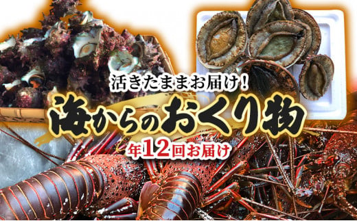 
伊勢海老 アワビ サザエ 定期便 年12回 海からのお届け物 ワカメ ひじき はんばのり 干物 伊勢エビ さざえ あわび わかめ 海苔 天草 煮魚 惣菜 えび 鮑 貝 魚 魚介 魚介類 海鮮 海鮮セット セット 冷蔵 静岡 静岡県 12回 お楽しみ [№5227-0077]
