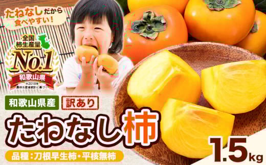 【先行予約】【ご家庭用/訳あり】たねなし柿1.5kg《2025年9月中旬-11月上旬頃より出荷予定》 和歌山県 紀の川市 柿 カキ かき ジューシー フルーツ