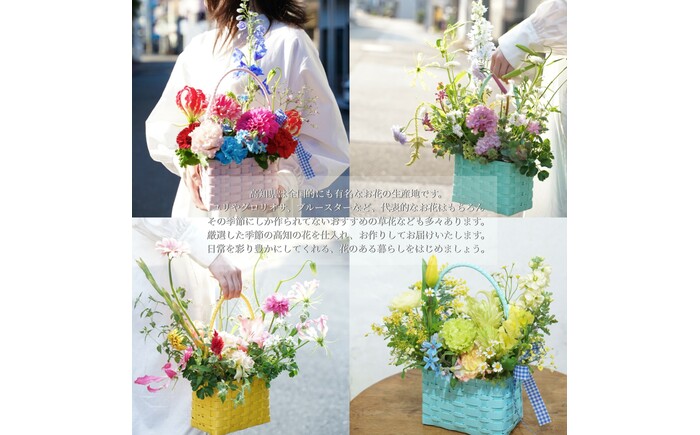 【12回定期便】季節の生花カラーバスケットフラワーM / お花 フラワー カラーバスケット アレンジ 映える リビング 装飾 作家もの カゴ 定期便 人気 季節の生花 収納バスケット ハイセンス ギフ