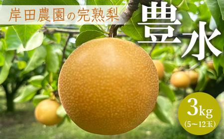 【先行予約】岸田農園の完熟梨 豊水【3kg,5-12玉入り】 | 梨 なし 果物 フルーツ 完熟 ジューシー 秋 旬 産地直送 期間限定 季節限定 季節商品 送料無料 国産 栃木県 芳賀町 ※2025年9月上旬～9月中旬頃に順次発送予定