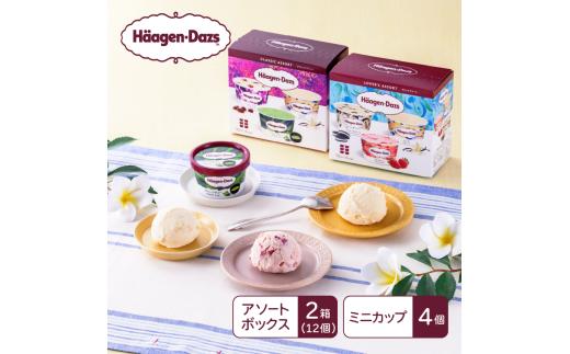 【16A002】　ハーゲンダッツ／マルチパックセット