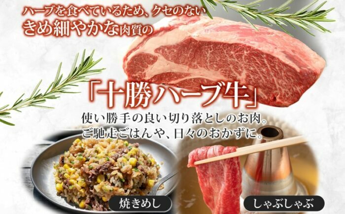 北海道 十勝 ハーブ牛 切り落とし 500g×2パック ハーブ牛 赤身 サシ 切り落とし 薄切り 牛肉 肉 ビーフ 500g 十勝 北海道産 道産 あしょろ 《足寄町》 【日本ふるさと創生株式会社】 