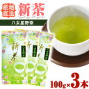 【ふるさと納税】新茶 八女星野茶 100g × 3本 計300g 株式会社親和園 《30日以内に出荷予定(土日祝除く)》 福岡県 鞍手町 産地直送 新茶 旬 茶 お茶 緑茶 日本茶 送料無料