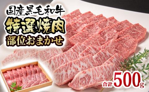 国産黒毛和牛 希少部位を含む特選焼肉セット 500g 部位おまかせ＜1.5-223＞牛肉 西都市