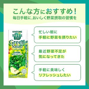 【定期便11ヶ月連続お届け】カゴメ 野菜生活100 グリーンサラダ 200ml 24本 野菜ジュース 果実ミックスジュース 紙パック