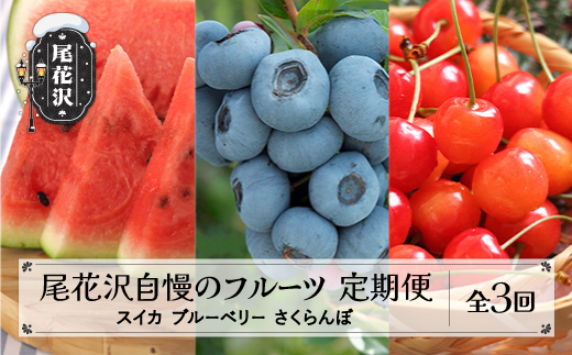 全3回 尾花沢自慢のフルーツ定期便 さくらんぼ ブルーベリー 尾花沢産スイカ 令和8年産 kb-ftcbs3