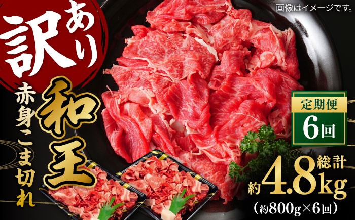 
                  【全6回定期便】【訳あり】くまもと黒毛和牛 和王 赤身 こま切れ 800g【株式会社ワンエイト】 [ZDA004]
                
