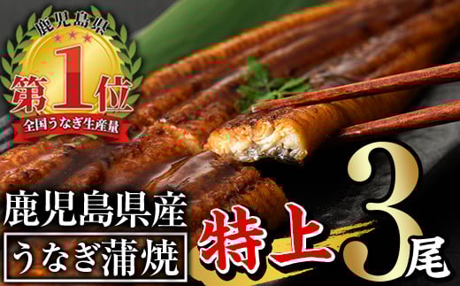 無投薬！鹿児島県産うなぎ蒲焼セット＜特上＞(計480g以上・ 160g以上×3尾) タレ・山椒付き 鰻 ウナギ 国産【西日本養鰻】A506-v01