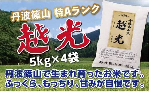 【毎月数量限定】令和６年産　丹波篠山産　特Aランク　越光　（５kｇ×４袋） 兵庫県 丹波篠山市 白米 100％単一原料米 産地直送米 贈答 おいしい お米 精米 コシヒカリ ブランド おこめ 健康 ギフト 内祝い 贈り物 送料無料 おすすめ 人気 口コミ