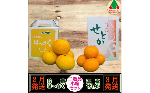 
定期便 貯蔵 はっさく ＆ ハウス せとか 全2回 南泰園 二級品 小箱 セット みかん
