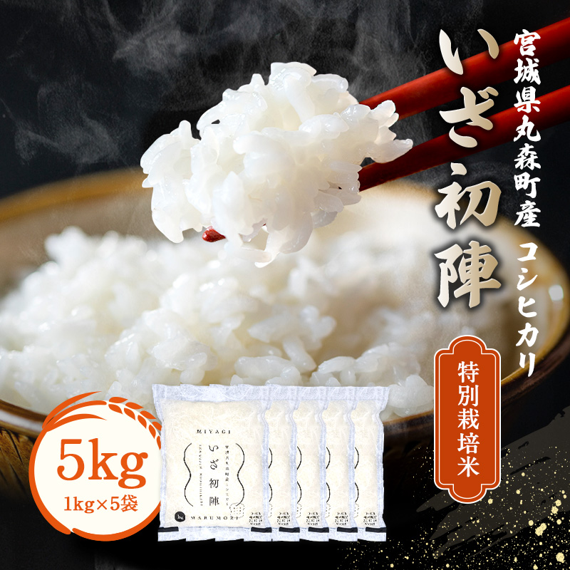 令和6年産 新米 精米 ブランド米「いざ初陣」5kg（1kg×5個）食味値85以上 整粒歩合80%以上【0121601】