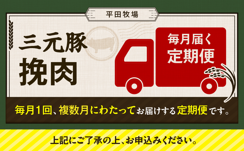 【全6回 毎月定期便】日本の米育ち平田牧場三元豚ひき肉 600g　T036-T12-02