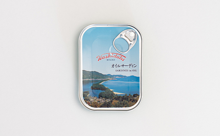 缶詰 天橋立 オイルサーディン いわし 10個 缶詰