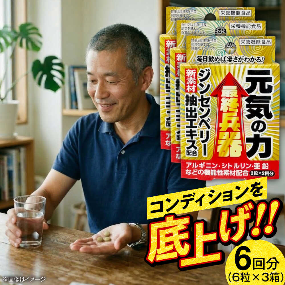 【ふるさと納税】サプリ 最終兵器 元気の力 6粒 3箱セット / サプリメント サプリ 活力 コンディション 健康 栄養補給 ジンセンベリー 亜鉛 シトルリン 男性 プレミアム さぷり 小分け 疲労回復 簡単 滋養強壮 携帯用 / 大阪府藤井寺市/(株)アスナロ化工研究所[BLAX016]