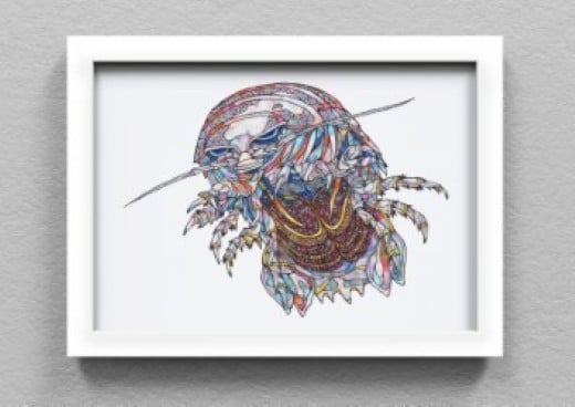 
            【G0729】竹島水族館 NAMIKO 生物絵画の複製画
          