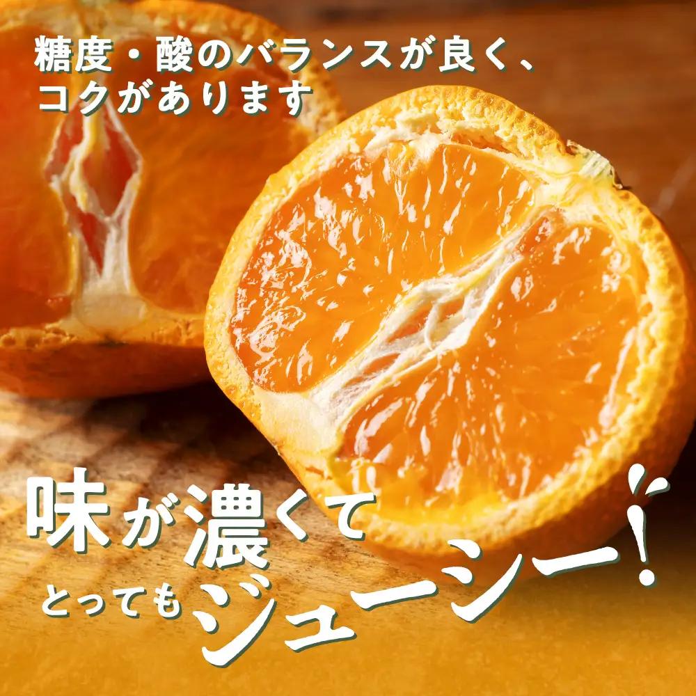 蜜柑 みかん 約 5kg 令和8年 11月発送 ないぜしぜん村 みかん 先行予約 産地直送 国産 国内産 三重 南伊勢